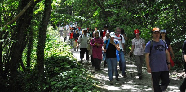 DOĞA SEVERLER SOĞUCAK ŞELALESİ’NE YÜRÜDÜLER