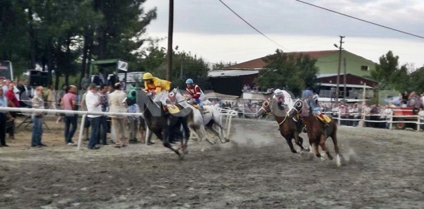 SAPANCA 2. MAHALLİ AT YARIŞLARI ŞENLİĞİ