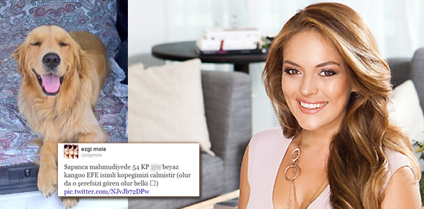 SANATÇI EZGİ MOLA: 'KÖPEĞİM SAPANCA MAHMUDİYE’DE ÇALINDI'