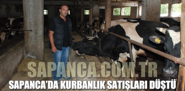 SAPANCA’DA KURBANLIK SATIŞLARI DÜŞTÜ