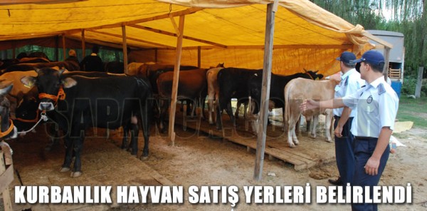 SAPANCA’DA KURBANLIK HAYVAN SATIŞ VE KESİM YERLERİ BELİRLENDİ