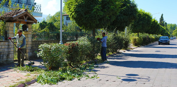 SAPANCA’DA SONBAHAR TEMİZLİĞİ