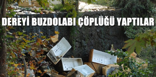 DEREYİ BUZDOLABI ÇÖPLÜĞÜ YAPTILAR