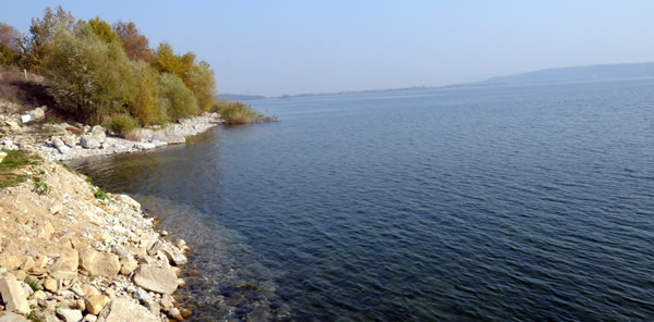 SAPANCA GÖLÜ, TEHLİKE ALTINDA