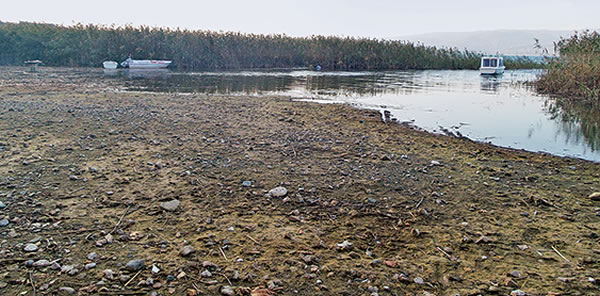 SAPANCA’YA KARA HABER DİPTEN GELDİ