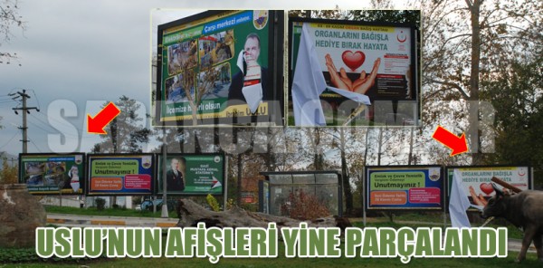 USLU’NUN AFİŞLERİNİ YİNE PARÇALADILAR