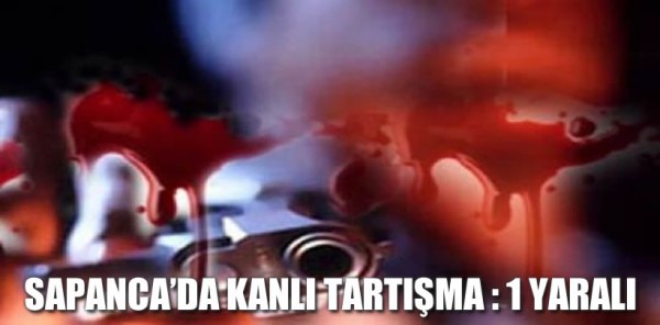 SAPANCA'DA KANLI TARTIŞMA : 1 YARALI