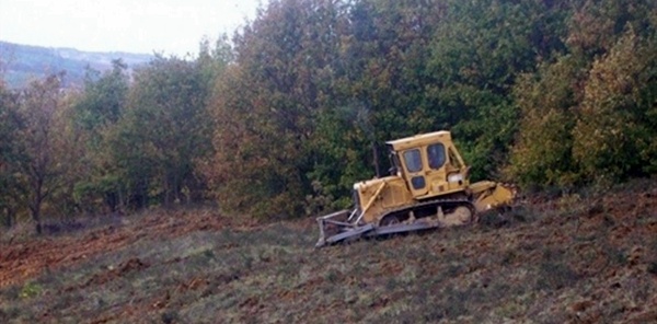 BU PROJE ORMAN KÖYLÜSÜNE GELİR SAĞLAYACAK