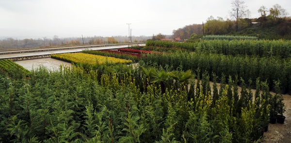 USLU: 'SAPANCA TANITIM VE SERGİLEME FİDANLIĞI İLÇEMİZE HAYIRLI OLSUN'