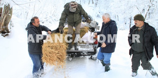 YABAN HAYVANLARINA YEM BIRAKILDI