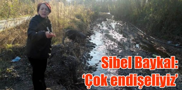 SİBEL BAYKAL: 'ÇOK ENDİŞELİYİZ'