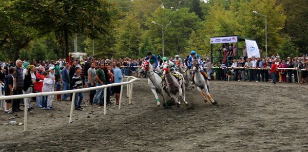 KARTEPE HİPODROMUN’DA SAPANCA BELEDİYE BAŞKANLIĞI KOŞUSU