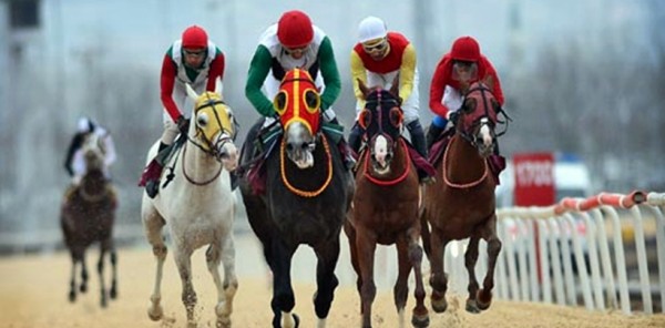 SAPANCA BELEDİYE BAŞKANLIĞI KOŞUSUNU KOYRAMERT KAZANDI