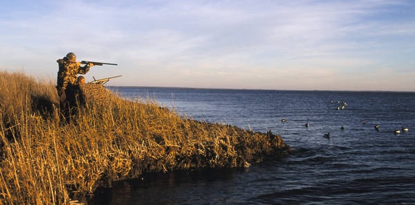 CHP'DEN ''SAPANCA'DA KUŞ AVLANMASIN'' TEKLİFİ