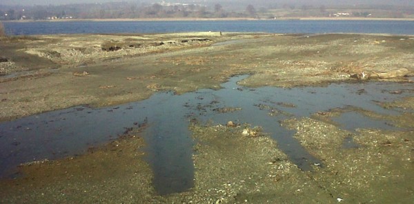 SAPANCA GÖLÜ İÇİN MECLİS ARAŞTIRMA ÖNERGESİ VERİLDİ