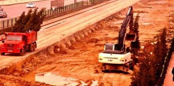 KABLOLAR BİTTİ HIRSIZLAR BU SEFERDE GÖZLERİNİ PROFİL DİREKLERE DİKTİ