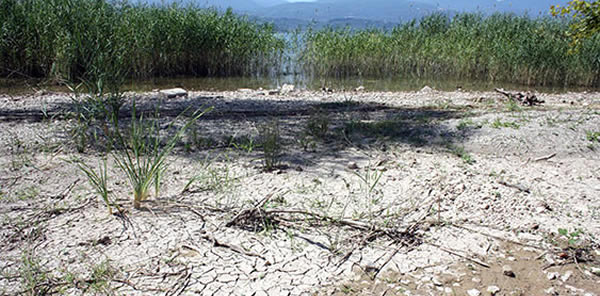 MATUR 'SAPANCA GÖLÜ' İÇİN AK PARTİ’YE YÜKLENDİ VE 'YAZIKLAR OLSUN' DEDİ