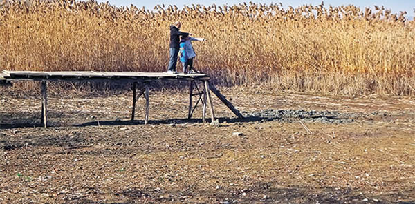 SAPANCA GÖLÜ'NÜN ÖLÜMÜNE 50 SANTİMETRE KALDI