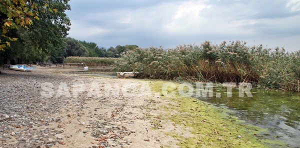 SON YAĞIŞLAR SAPANCA'YA ÇARE OLMADI
