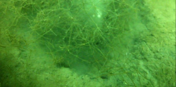 SAPANCA GÖLÜ'NÜN ZEMİNİ GÖRÜNTÜLENDİ