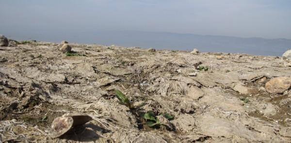 SAPANCA GÖLÜ HİÇ BU KADAR ÇEKİLMEMİŞTİ