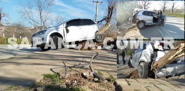 OTOMOBİL AĞACA ÇIKTI: 1 YARALI