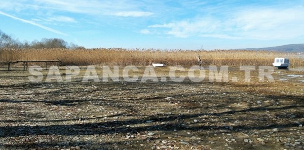 SAPANCA GÖLÜ'NE BİR ORTAK DAHA ÇIKTI