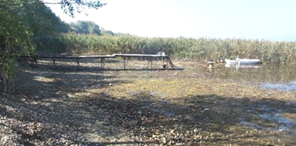 SAPANCA'DA TEHLİKE BÜYÜYOR