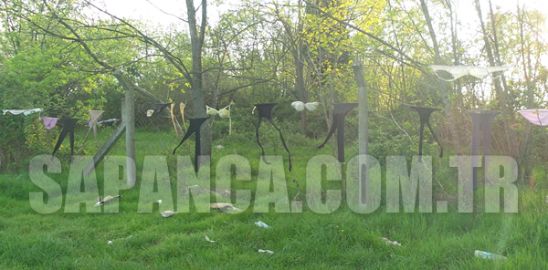 HABERCİLER SAPANCA GÖLÜ KENARINDAKİ YANGINI GÖRÜNTÜLEMEYE GİTMİŞLERDİ ANCAK…