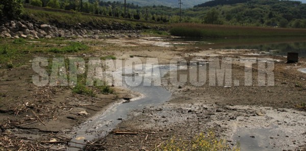 TÜPRAŞ'TAN 'SAPANCA GÖLÜ' AÇIKLAMASI