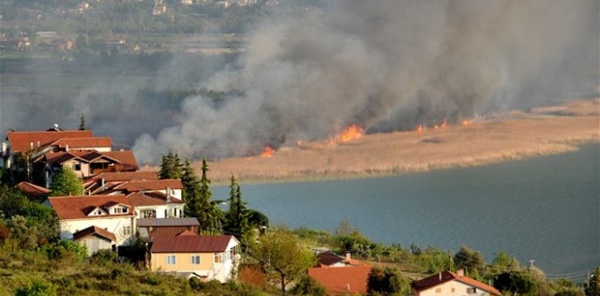 SAPANCA GÖLÜ KENARINDA YANAN SAZLIKLAR ESKİ HALİNE DÖNECEK