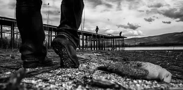 KARTEPE TURİZM DERNEĞİ’NDEN SAPANCA GÖLÜ ETKİNLİĞİ