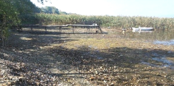 SAPANCA GÖLÜ'NÜ KURTARMA PLANI HAZIR