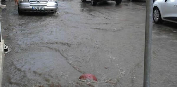 10 DAKİKA YAĞMUR YAĞDI YİNE SAPANCA GÖLÜ’NE DÖNDÜK