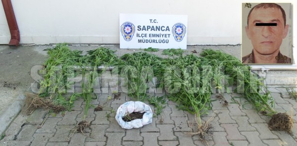 SAPANCA'DA UYUŞTURUCU OPERASYONU: 1 GÖZALTI