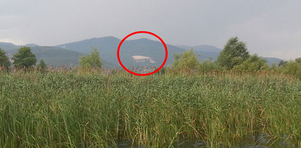 MİLLİYET YAZARI BENGİN: SAPANCA’DA ÖYLE BİR KATLİAM VAR Kİ, GÖRÜNCE İÇİM YANDI