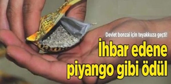 BONZAİ YAKALATANA İNANILMAZ ÖDÜL!