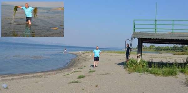 SUYU ÇEKİLEN SAPANCA GÖLÜ'NÜ YOSUN KAPLADI
