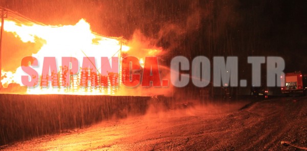 SAPANCA EFEM SU’DA YANGIN