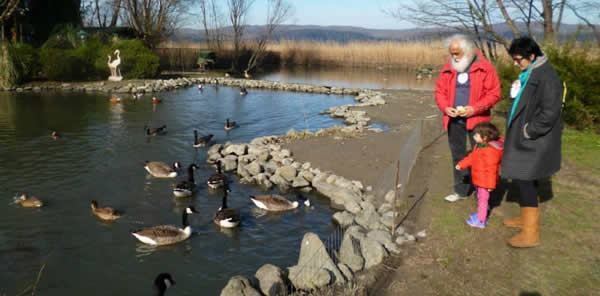 SUAVİ VE AİLESİ SAPANCA’DA DAYDI