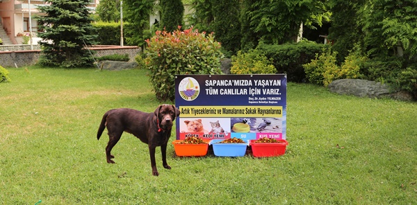 BAŞKAN YILMAZER, 'SOKAK HAYVANLARINA SAHİP ÇIKALIM'
