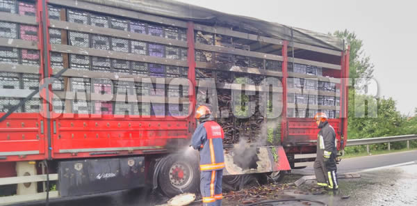 HAREKET HALİNDEKİ TIR'IN LASTİKLERİ YANDI