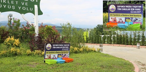 SAPANCA’DA SOKAK HAYVANLARI İÇİN SU VE YEMEK KAPLARI YERLEŞTİRİLDİ