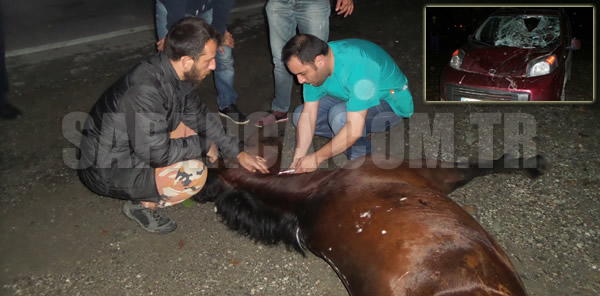 PANELVANIN ÇARPTIĞI AT TELEF OLDU