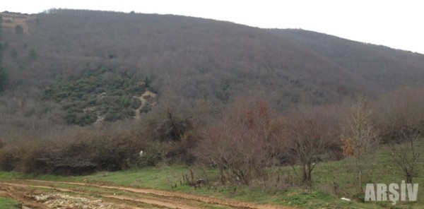 ARAZİSİNE ORMAN DENİLEREK EL KONULMUŞTU, MAHKEME DEVLETE 997 BİN LİRA CEZA KESTİ