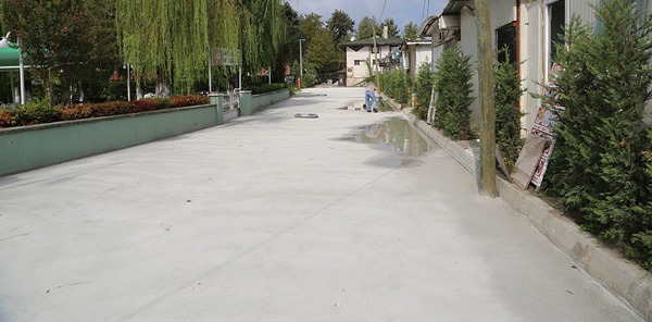 SAPANCA SAHİLİNDE DÜZENLEME