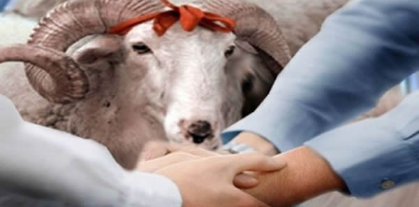 BAYRAM NAMAZI 7:27’DE KILINACAK