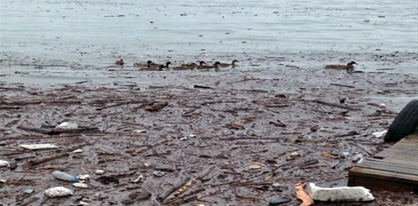 SEL SULARI SAPANCA GÖLÜ'NÜ DE VURDU