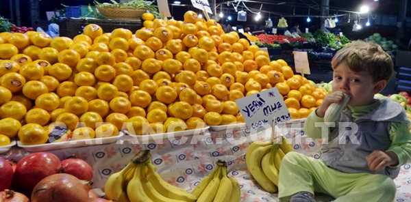 SAPANCA CUMA PAZARI 25 ARALIK TARİHLİ PARAKENDE SEBZE VE MEYVE FİYATLARI