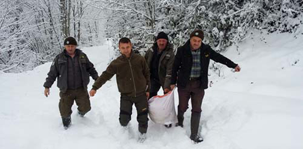 YABAN HAYVANLARINA YEM BIRAKILDI